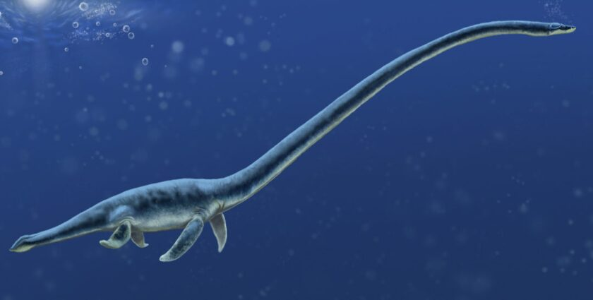 Dù cho đến nay vẫn chưa có bằng chứng khoa học nào xác thực sự tồn tại của Nessie, nhưng huyền thoại về quái vật hồ Loch Ness vẫn tiếp tục thu hút sự chú ý của công chúng. Hồ Loch Ness không chỉ là một điểm đến du lịch nổi tiếng mà còn là biểu tượng của những bí ẩn chưa được giải đáp của thế giới tự nhiên. (Ảnh: BYU)