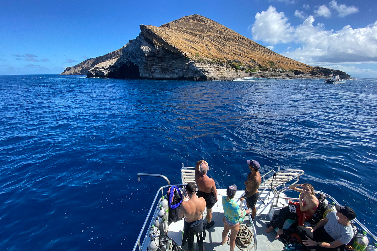 Từ năm 1987, một số hoạt động du lịch và săn bắt được mở ra cho du khách. Hoạt động này được giám sát chặt chẽ và chỉ có một số ít người được phép đến thăm đảo.(Ảnh:SFGATE)