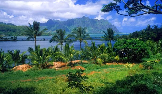 Niihau là một hòn đảo mang đậm nét văn hóa và lịch sử, với đời sống giản dị và tự cung tự cấp. Nét độc đáo của Niihau chính là cách người dân nơi đây duy trì và bảo tồn văn hóa truyền thống của họ. (Ảnh:Carpy's Cafe Racers)