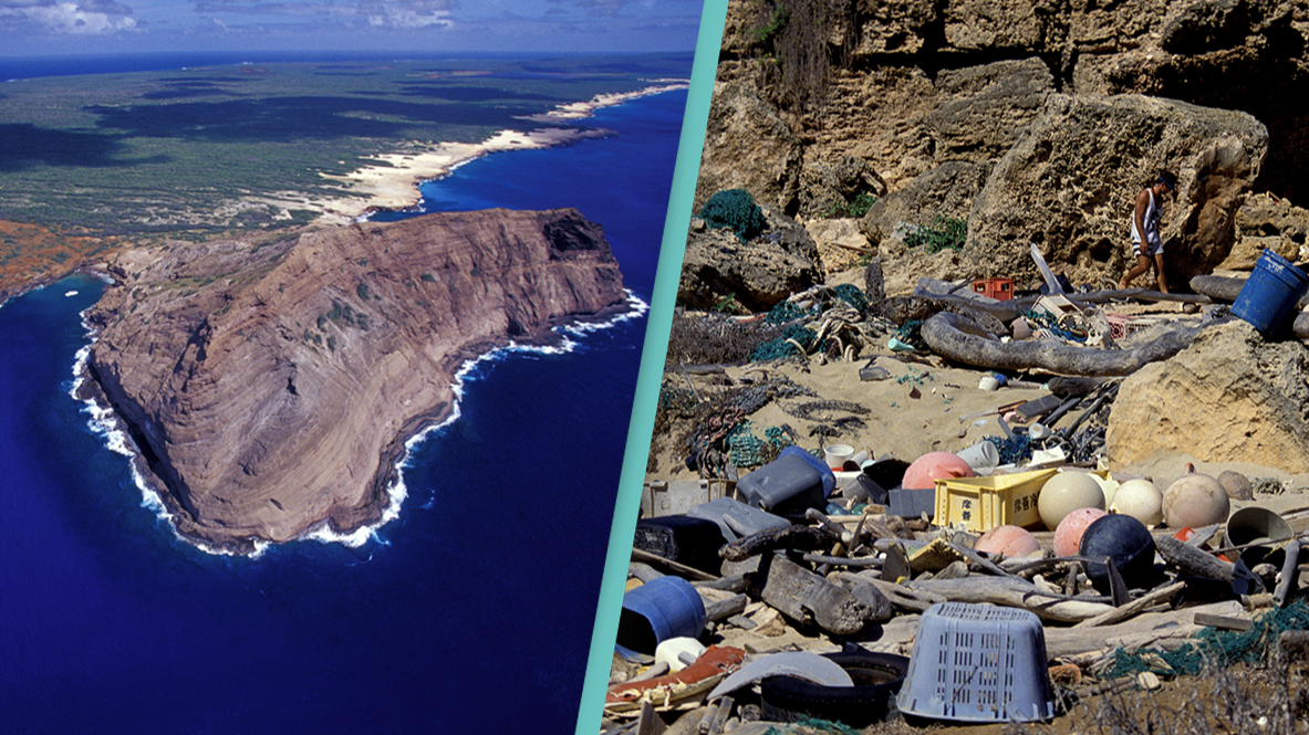 Hiện nay, Niihau có khoảng 70 cư dân, chủ yếu là người Hawaii bản địa. Đời sống trên đảo rất giản dị và tự cung tự cấp. Không có đường nhựa, bệnh viện, đồn cảnh sát hay cửa hàng tạp hóa. Người dân sử dụng hệ thống hứng nước mưa và các tấm pin mặt trời để cung cấp điện, và họ săn bắn, đánh cá, trồng trọt để kiếm thức ăn.(Ảnh:UNILAD)