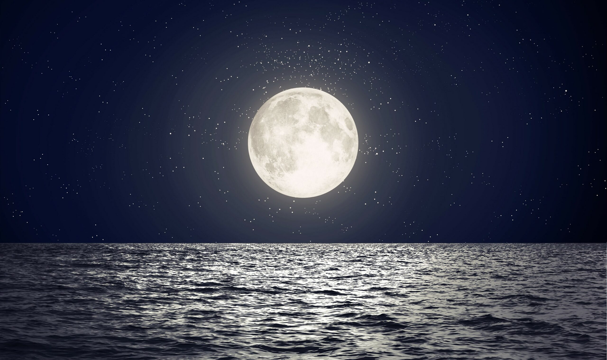 Một trong những tác động rõ ràng nhất là sự thay đổi của thủy triều. Mặt Trăng có lực hấp dẫn mạnh mẽ, tạo ra thủy triều trên các đại dương của Trái Đất. Nếu không có Mặt Trăng, thủy triều sẽ trở nên yếu hơn và không đều, ảnh hưởng đến hệ sinh thái biển và các hoạt động của con người liên quan đến biển.(Ảnh:Earth)