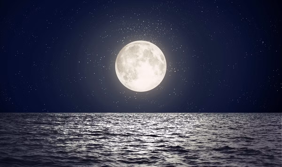 Một trong những tác động rõ ràng nhất là sự thay đổi của thủy triều. Mặt Trăng có lực hấp dẫn mạnh mẽ, tạo ra thủy triều trên các đại dương của Trái Đất. Nếu không có Mặt Trăng, thủy triều sẽ trở nên yếu hơn và không đều, ảnh hưởng đến hệ sinh thái biển và các hoạt động của con người liên quan đến biển.(Ảnh:Earth)