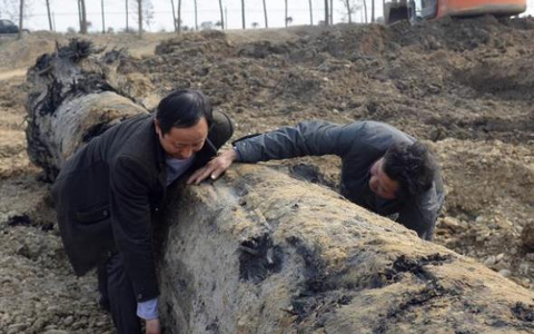 Gỗ âm trầm nổi bật với độ bền cao, khả năng chống ẩm tốt và không bị mục nát trong bất kỳ điều kiện khí hậu nào. Mùi thơm tự nhiên của gỗ cũng là một điểm cộng, giúp xua đuổi mối mọt và tạo cảm giác dễ chịu.