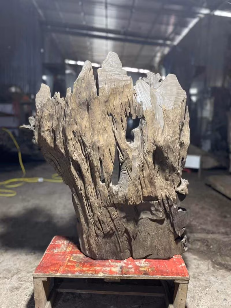 Từ xa xưa, gỗ âm trầm đã được coi là biểu tượng của phẩm giá và địa vị của người sở hữu. Ngày nay, loại gỗ này vẫn được săn đón và đánh giá cao trong giới yêu gỗ. Giá trị của gỗ âm trầm không chỉ nằm ở chất lượng mà còn ở sự quý hiếm và lịch sử lâu đời của nó.