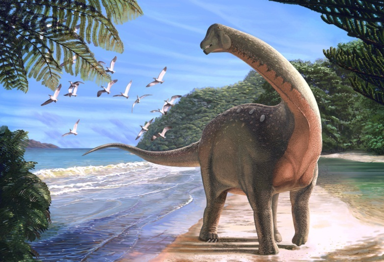 Titanosaurus có thân hình đồ sộ với chiều dài ước tính lên đến 12-15 mét và nặng khoảng 13 tấn. Giống như các loài sauropod khác, Titanosaurus có cổ dài, đuôi dài và bốn chân to khỏe. Tuy nhiên, điểm đặc biệt của Titanosaurus là cấu trúc xương sống với các đốt sống có cấu trúc tổ ong, giúp giảm trọng lượng cơ thể mà vẫn duy trì được sự chắc chắn.(Ảnh:Extinct Animals)
