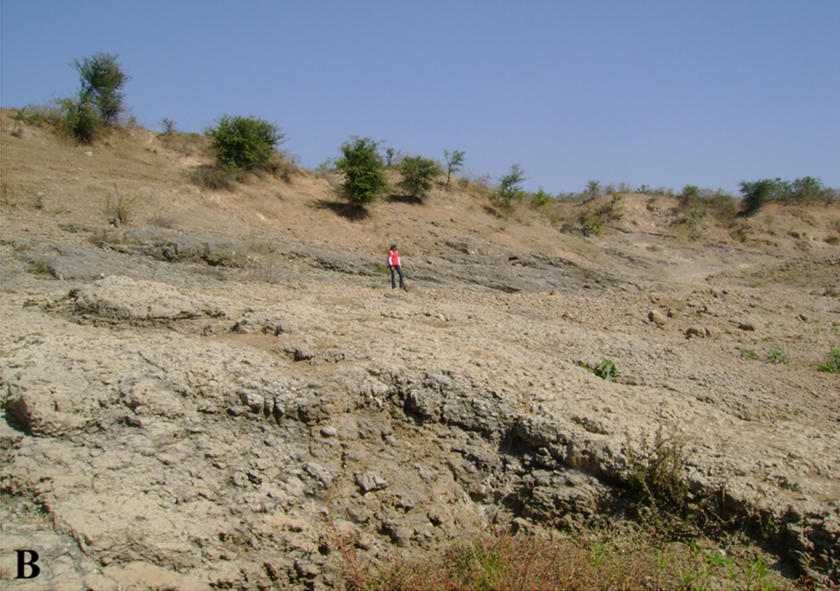 Các mẫu hóa thạch của Titanosaurus được tìm thấy chủ yếu ở khu vực Lameta Formation, Ấn Độ. Những mẫu hóa thạch này bao gồm các đốt sống và xương chân, giúp các nhà khoa học có cái nhìn rõ hơn về cấu trúc cơ thể và lối sống của loài khủng long này. (Ảnh:Wikipedia)