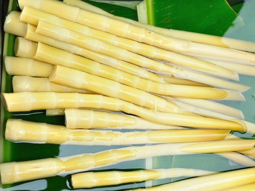 Mặc dù những cách trên có thể giúp khử độc măng tươi hiệu quả nhưng bạn vẫn không nên ăn quá nhiều măng và đặc biệt cần chú ý chế biến loại thực phẩm này thật kỹ trước khi ăn. Ảnh: baoquangninh.