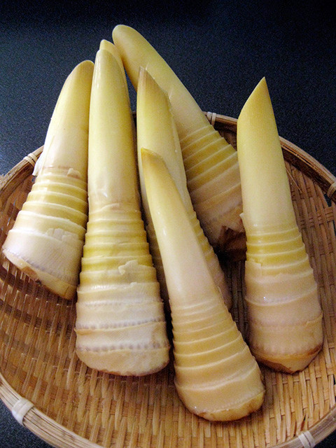 Để khử độc măng tươi, bạn nên ngâm măng trong nước muối trước khi sấy hoặc phơi măng khô. Ảnh: khoeplus24h.