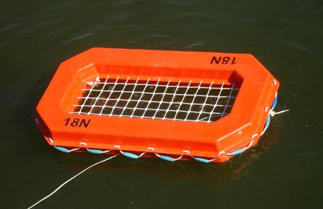 Nếu như số lượng thủy thủ, người hướng dẫn trên tàu không đủ, hành khách có thể chủ động tự thả những thuyền, phao cứu hộ xuống nước trước khi rời khỏi tàu. Khi đã xuống nước, việc cần làm đầu tiên là tìm đến những thuyền cứu hộ này, bám chặt để tránh bị chìm, sặc nước và có được sự hỗ trợ từ những người khác.