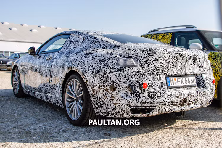 Có kích thước tương đồng với dòng 7 series hiện tại, 8 Series nhiều khả năng sẽ sử dụng chung chassis với 7 Series. Như vậy, BMW sẽ ứng dụng nhiều vật liệu nhẹ như sợi carbon, magie, nhôm và thép siêu bền trong kết cấu của xe để giảm trọng lượng. Do BMW đã đăng ký bản quyền các tên gọi như ‘825’, ‘830’, ‘835’, ‘845’, ‘850’, ‘M850’ và ‘M8’ nên ít nhất, 8 Series cũng sẽ có đầy đủ các phiên bản động cơ như 7 Series hiện nay.