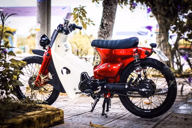 Với giá thành rẻ và độ phổ biến của mình, dù đã có "tuổi đời" hơn nửa Thế kỷ nhưng những chiếc Honda Super Cub vẫn được người dân Việt Nam ưa chuộng, cũng như tiếp tục bị các hãng xe Trung Quốc làm nhái tới tận ngày nay. Những người chơi xe cũng dành tình cảm đặc biệt cho dòng xe này khi vẫn tiếp tục độ những chiếc Super Cub.