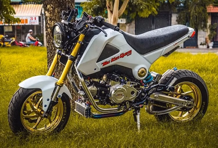 Ước tính, tổng giá trị của số đồ chơi trên chiếc MSX 125 này có thể lên tới mức cả trăm triệu đồng, với việc độ này sẽ khiến cho giá trị của chiếc xe côn tay cỡ nhỏ này càng tăng cao và độc đáo.