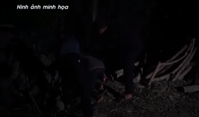 Chiều 20/1/2011, Đế và Nội đi bộ đến nhà ông Đ., mượn xe máy để chạy lấy hàng (do tiệm này có hơn chục xe máy của người cầm đồ). Gần 1h hôm sau, chúng ghé trả xe. Ông Đ. ra nhận xe, Đế viện cớ có nguồn gỗ để dưới bờ sông Lô, dụ ông tới đó coi hàng. Khi ra đến bờ sông, từ phía sau, bọn chúng tấn công ông Đ. cho ngã rồi dìm xuống sông. Sau đó, Đế gọi bà Y. ra đầu hồi nhà nói chuyện và sát hại.