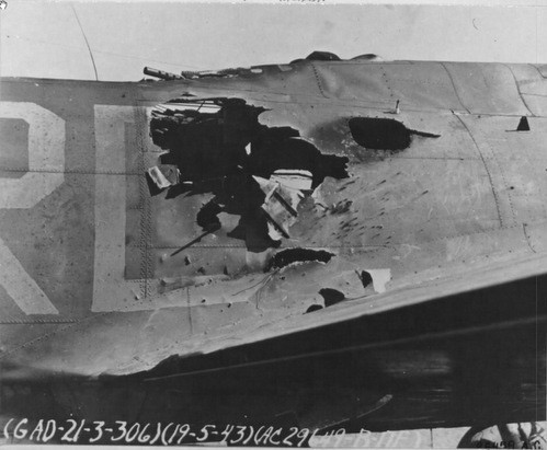 Maynard Smith: Ke bat tri, ruong bo vo con va... anh hung nuoc My-Hinh-2