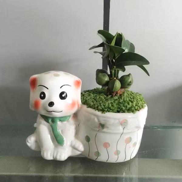 Sáng tạo những chậu cây nhỏ xinh hình cún con với giá chỉ vài trăm ngàn đồng, rất dễ bán trong tết Mậu Tuất.