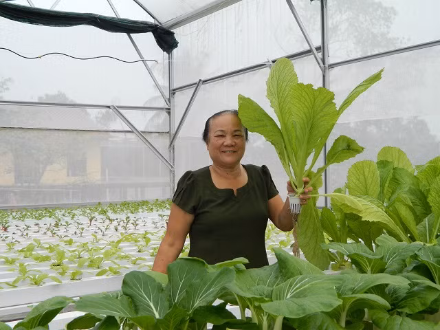 Bà Khương vui mừng bên thành quả của mình. Bà Khương khoe: "Tôi đang làm thủ tục kiểm định an toàn và truy xuất nguồn gốc. Các cơ quan chức năng của tỉnh Hà Tĩnh cũng rất khuyến khích và tạo điều kiện tốt cho tôi".