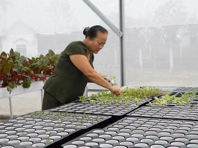 Theo bà Khương, việc tự trồng rau sạch giúp gia đình yên tâm hơn về nguồn thực phẩm sạch mỗi ngày và đặc biệt đây cũng là không gian riêng để bà an dưỡng tuổi già.