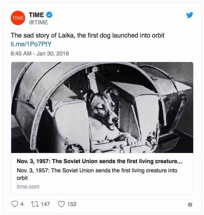 "Câu chuyện buồn về chú chó Laika, chú chó đầu tiên được đưa lên vũ trụ".