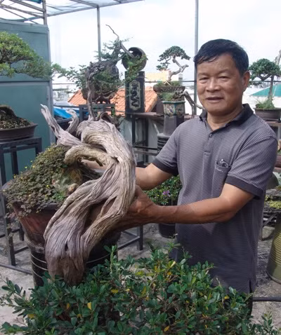 Một khúc “củi” đang trong quá trình nuôi dưỡng.