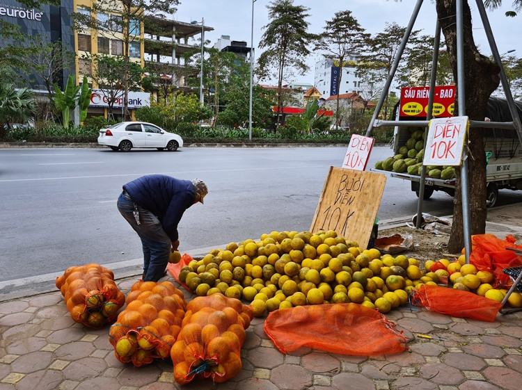 Mặt hàng bưởi Diễn được chào bán từ 10 - 15 nghìn đồng/quả.