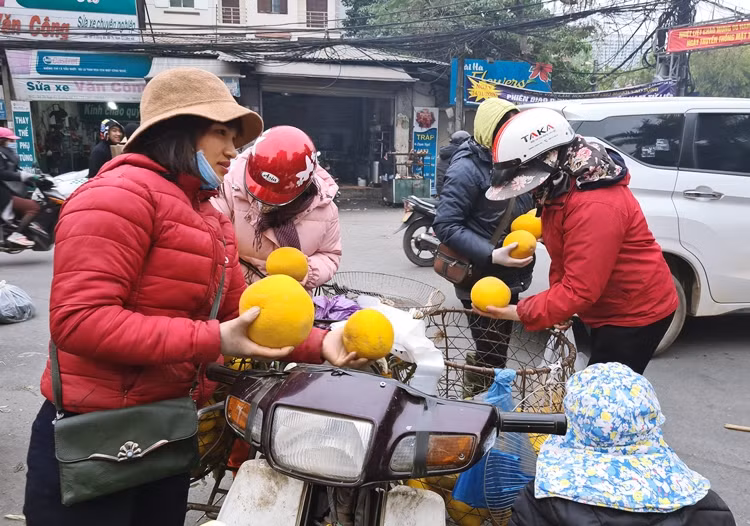 Người mua hàng lựa chọn những quả bưởi Diễn ưng í trước khi xuống tiền.