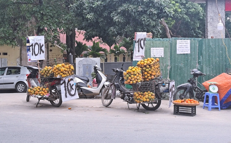 Những người bán hoa quả "niêm yết" giá công khai trên xe hàng. Trong đó, mặt hàng cam được bán với giá từ 10-25 nghìn đồng/kg.