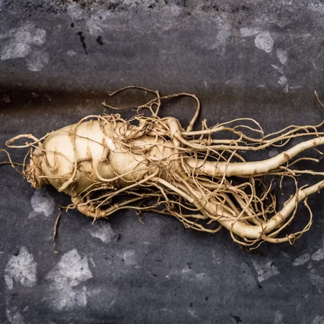 Chăm dưỡng làn da với hanbang: Theo Vogue, hanbang là những thành phần thảo dược truyền thống trong các loại thuốc từ Hàn Quốc. Hanbang đã trở thành một phần không thể thiếu đối với đời sống của người dân xứ kim chi. Một số thành phần hanbang thường có mặt trong mỹ phẩm Hàn Quốc như rễ nhân sâm, cây diếp cá, hoa sen, cây đại hồi. Chúng có đặc tính chống lão hóa, chống viêm và tái tạo da. Ảnh: The Klog.