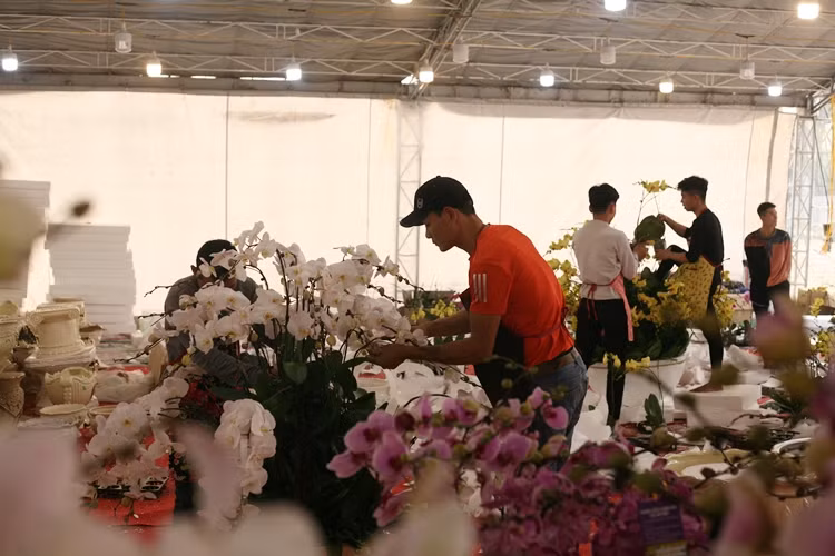 Hoa được các nhân viên cắm và chăm sóc một cách cẩn thận.