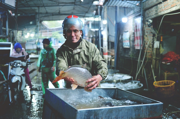 Theo các tiểu thương, họ đang gặp phải khó khăn khi thời tiết ở Hà Nội những ngày qua xuống thấp, điều này khiến người dân ngại ra đường đi chợ nên cá bán được rất ít. Thậm chí, có những tiểu thương đành phải cắt giảm số lượng cá nhập xuống chỉ còn một nửa so với trước đây.