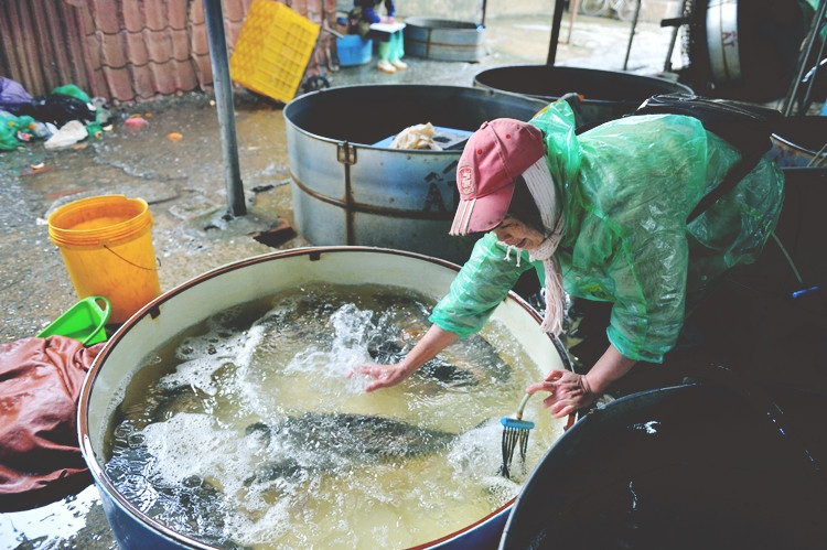 Thường xuyên ngâm nước để vớt cá nên tay các tiểu thương những ngày qua đều tê tái, run lạnh, tuy nhiên họ không dám ngừng nghỉ.