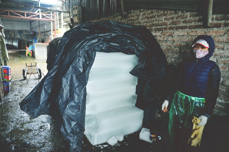 Những cây đá lạnh nặng tới 40kg được sử dụng để ướp cá, làm mát nước trong bể cá.