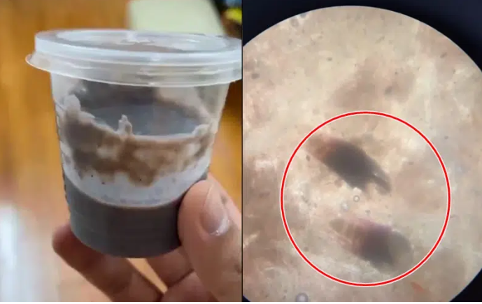 Soi mam tom duoi kinh hien vi, nhieu “di vat” ky la boi ngoe nguay