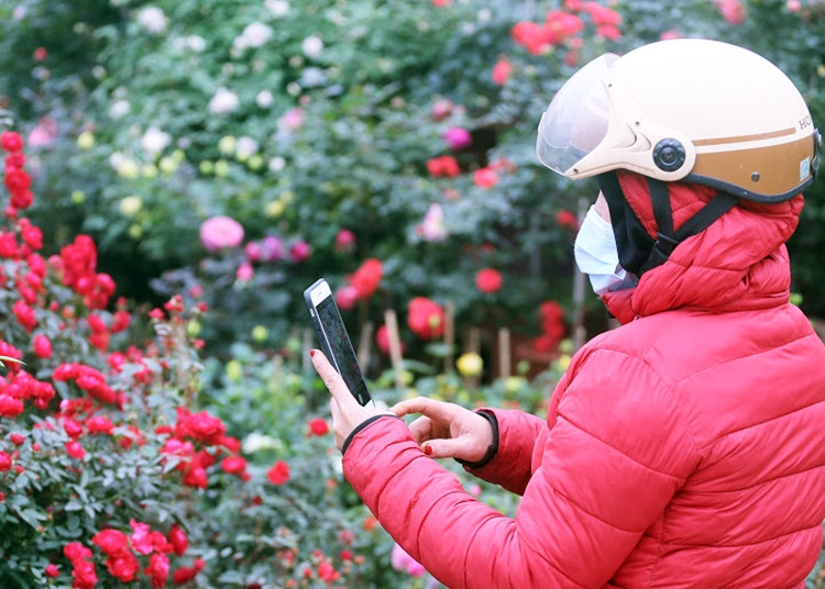 Chị em đến chợ hoa Vạn Phúc không thể nào rời mắt trước vẻ đẹp của những bông hồng.