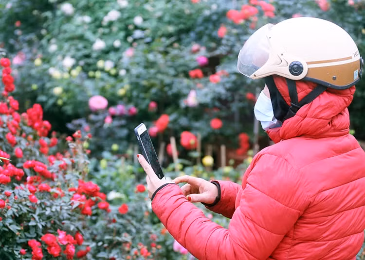 Chị em đến chợ hoa Vạn Phúc không thể nào rời mắt trước vẻ đẹp của những bông hồng.