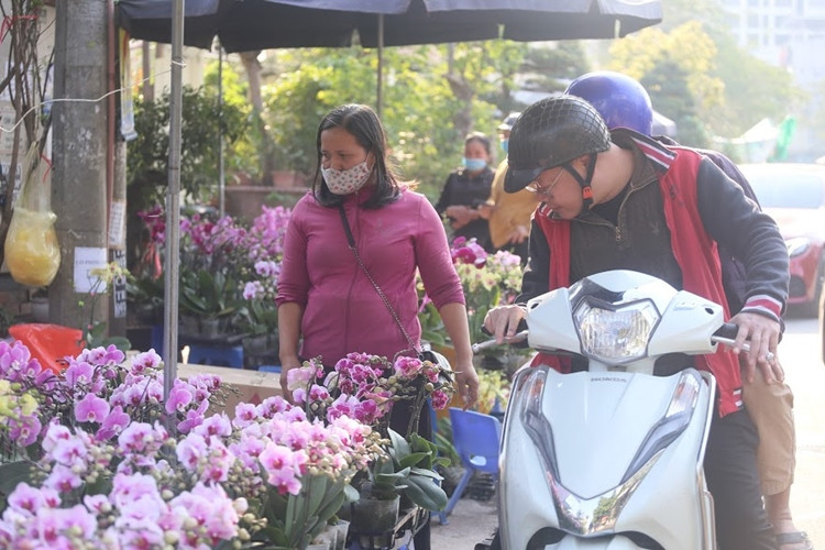 Mỗi giỏ địa lan nhỏ và vừa được tiểu thương bày bán với giá chỉ từ 130 nghìn đồng trở lên.
