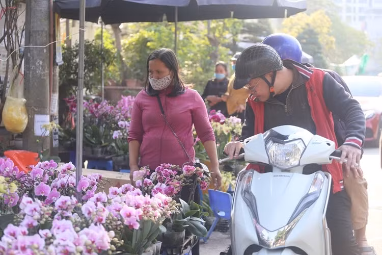 Mỗi giỏ địa lan nhỏ và vừa được tiểu thương bày bán với giá chỉ từ 130 nghìn đồng trở lên.