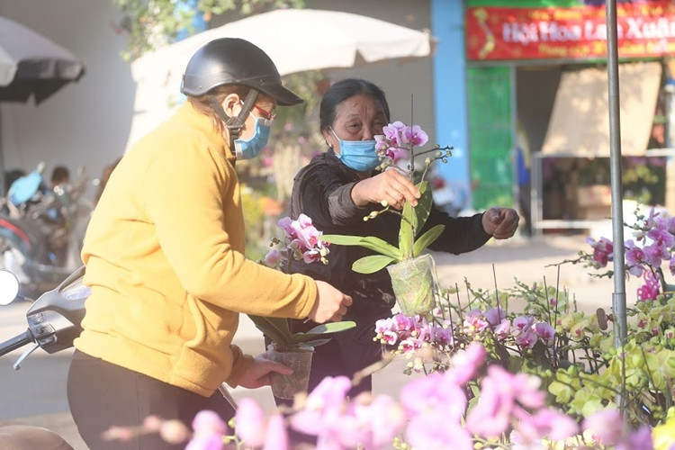 Nhiều khách hàng đến chợ hoa Vạn Phúc không ngần ngại rút ví “tậu” từ 1 hoặc 2 giỏ địa lan siêu đẹp đem về nhà chơi Tết Nguyên đán Tân Sửu 2021.
