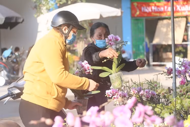Nhiều khách hàng đến chợ hoa Vạn Phúc không ngần ngại rút ví “tậu” từ 1 hoặc 2 giỏ địa lan siêu đẹp đem về nhà chơi Tết Nguyên đán Tân Sửu 2021.