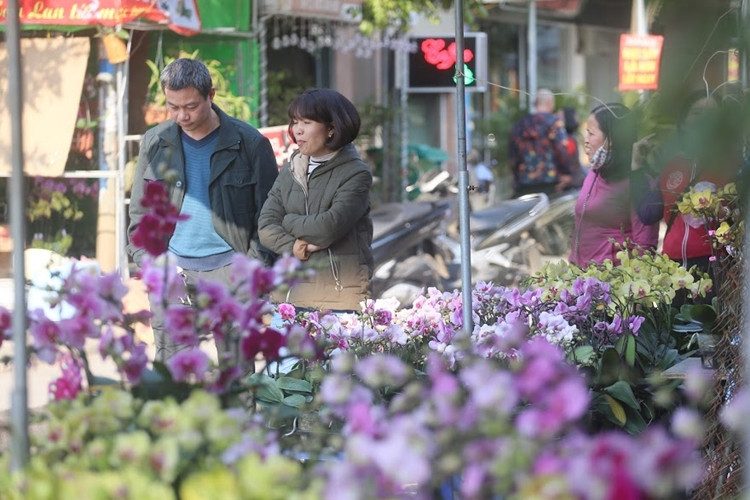 Các tiểu thương ở chợ hoa Vạn Phúc cho biết, thời điểm này lượng khách kéo đến chợ bắt đầu đông, đặc biệt từ ngày 10 tháng Chạp Âm lịch lượng khách đến đây sẽ tăng đột biến.