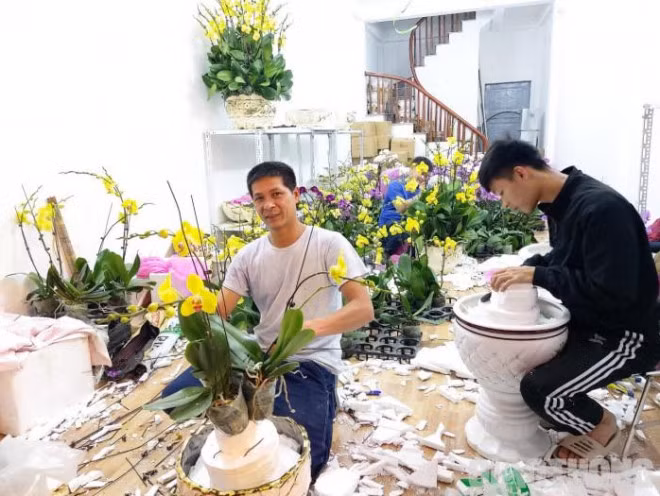 Ghep lan ho diep thue ngay Tet kiem dam chuc trieu de nhu choi