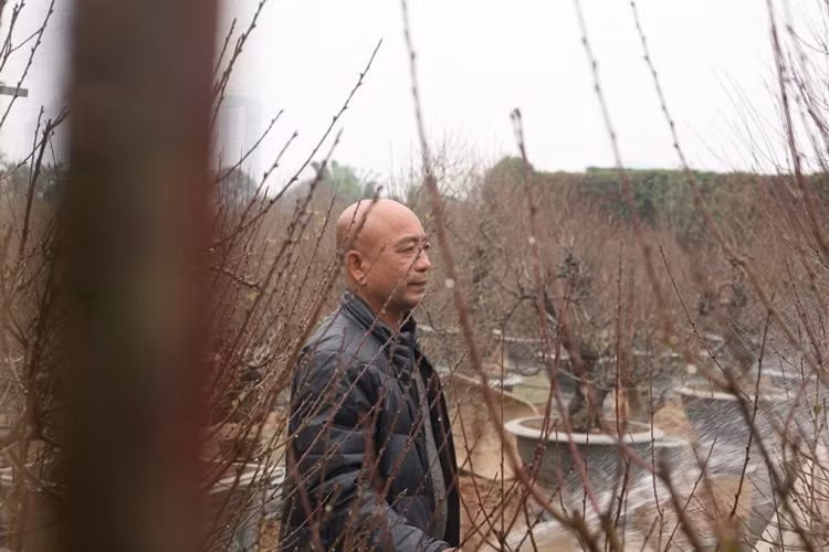 Chủ vườn Kỳ Anh (Nhật Tân) cho biết, giá bán những chậu đào có tuổi đời lâu năm trong dịp Tết này giao động từ 20-40 triệu đồng tùy vào độ lớn, dáng cây. Nếu khách chỉ muốn thuê giá sẽ khác. Hết Tết, nhà vườn lại nhận đào về chăm sóc cho vụ sau.