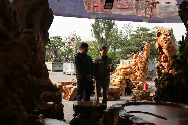 Khách hàng đến tham quan, mua sắm tại Festival sinh vật cảnh đều “lóa mắt” trước bộ bàn ghế “Cửu Lân quần tụ” chào giá 3 tỷ đồng.