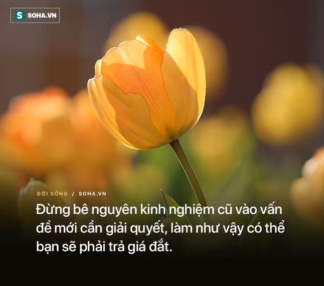 5 cau noi giup nhieu nguoi tinh ngo-Hinh-2