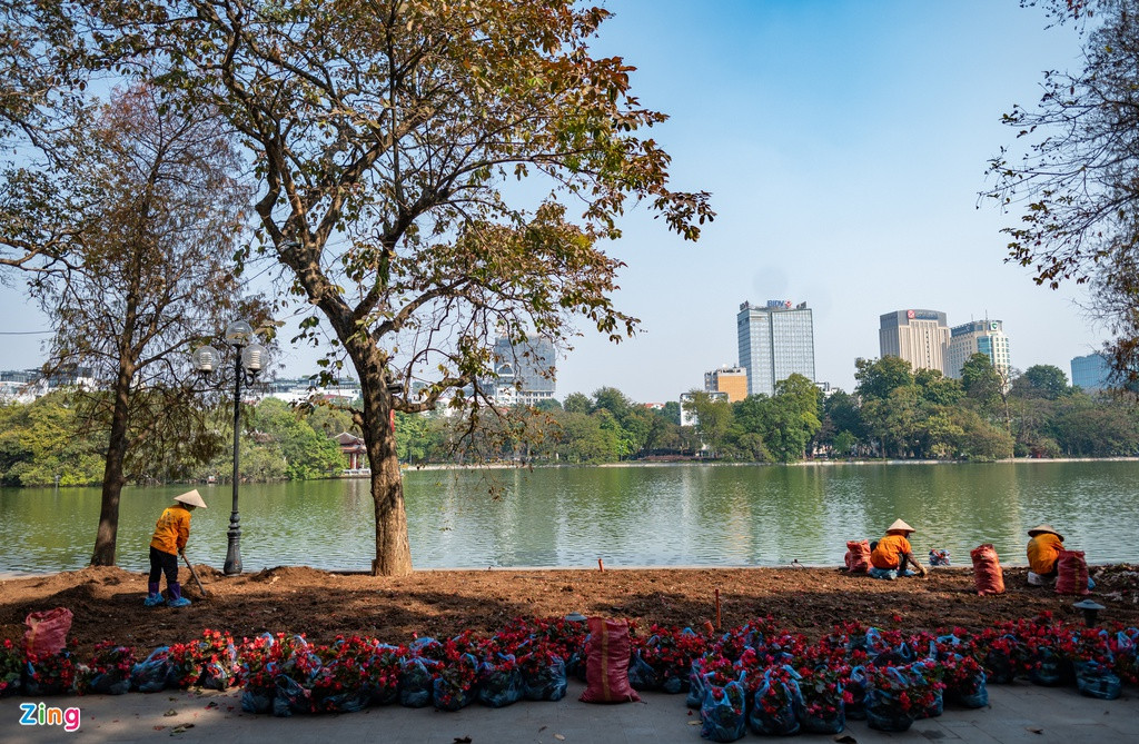 Hàng trăm cây hoa trang trí bên bờ hồ Gươm với tông màu đỏ là chủ đạo cũng đang được thay mới để chào mừng đại hội.
