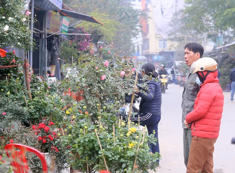 Người dân ngắm nghía, lựa chọn thật kỹ trước khi rút hầu bao.