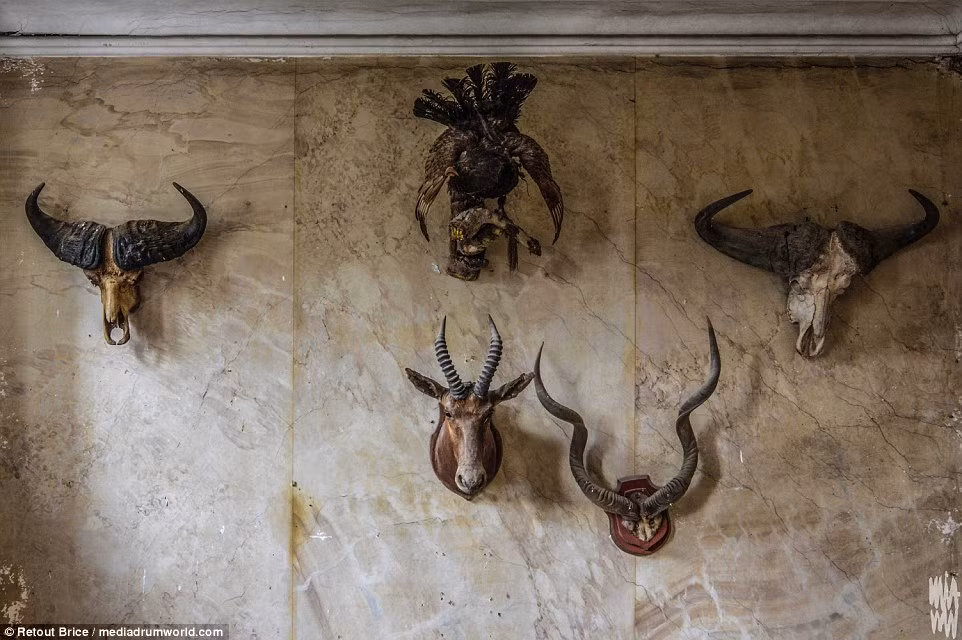Những chiếc sừng động vật vẫn được treo trên tường sau khi người chủ rời đi. Từ những món đồ này, nhiếp ảnh gia trẻ tuổi suy đoán đây có thể từng là nơi ở của một người thích săn bắn.