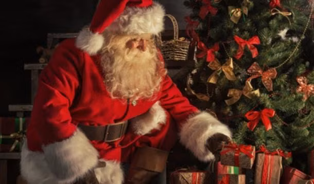 Nhiều phần trên cây thông Noel có thể ăn được có thể kể đến như lá cây cung cấp khá nhiều vitamin C.