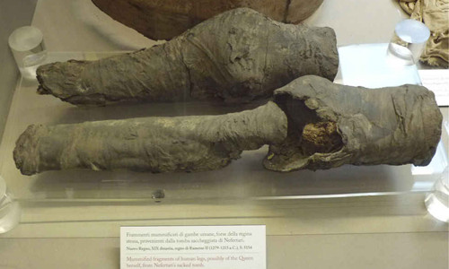 Giai ma bi an xac uop chan trong mo nu hoang Nefertari