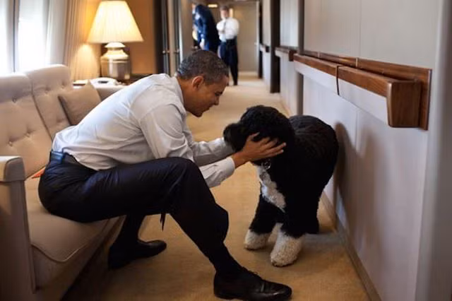 Chuyên cơ tổng thống Mỹ được ví như một Nhà Trắng trên không khi sở hữu diện tích hơn 300 m2, gồm có 3 tầng bao gồm: một văn phòng, phòng họp, phòng ngủ, phòng gym...