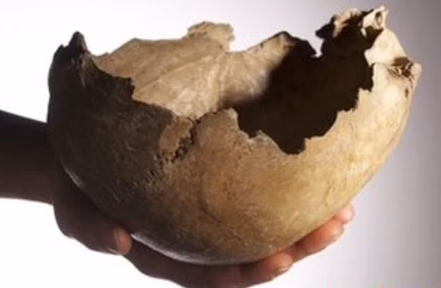 Hai hung nhung thu dang so lam tu so nguoi-Hinh-2